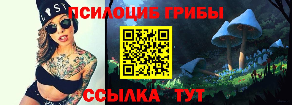 Аргун  Галлюциногенные грибы Psilocybe  Вход с VPN 