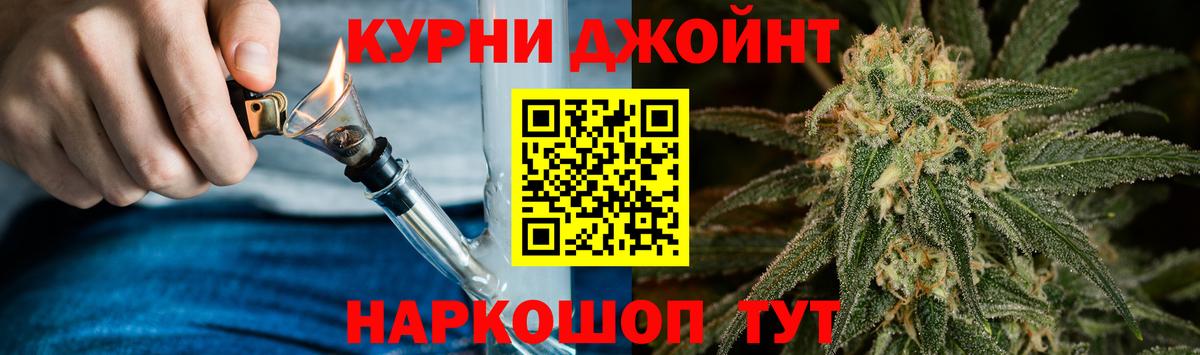 Бошки Шишки сатива Аргун